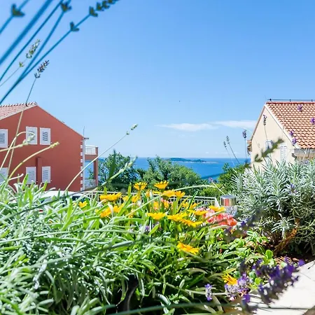 Adriatic Sunny Lägenhet